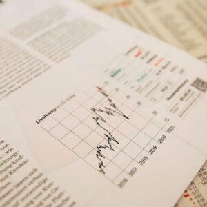 Business Model Development